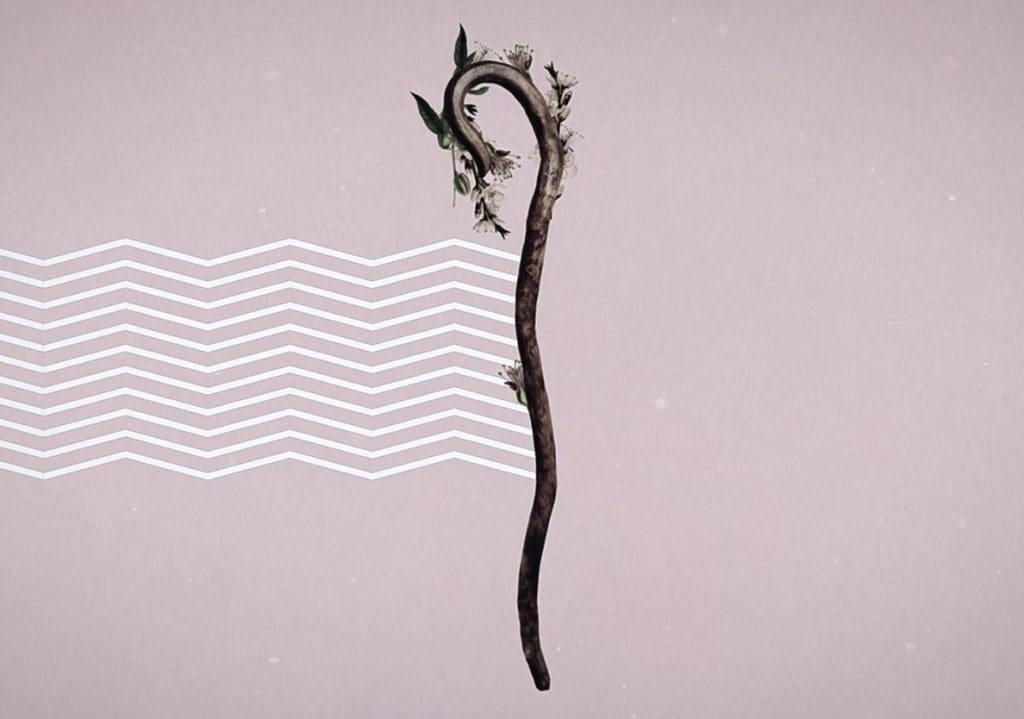 Symbolism of Almonds Bible Discovery TV