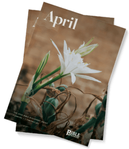 BDGuideApr2026-StackedCovers