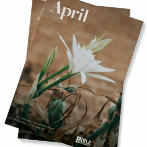 The Bible Discovery Guide