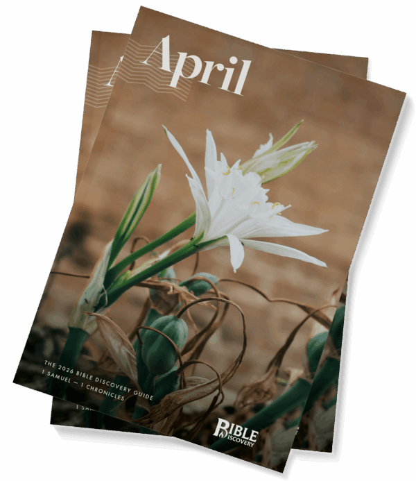The Bible Discovery Guide