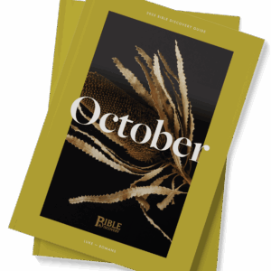 The Bible Discovery Guide