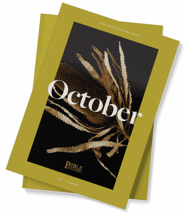 The Bible Discovery Guide