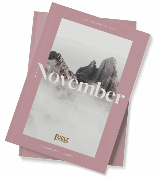 The Bible Discovery Guide