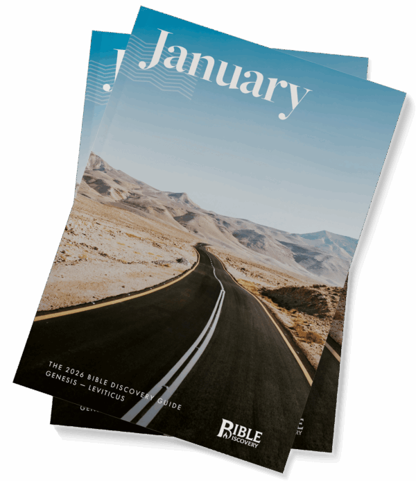 The Bible Discovery Guide