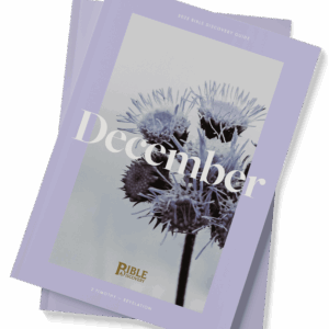 The Bible Discovery Guide