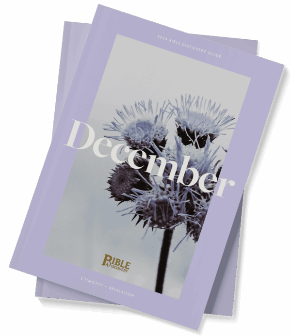 The Bible Discovery Guide