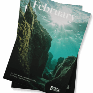 The Bible Discovery Guide