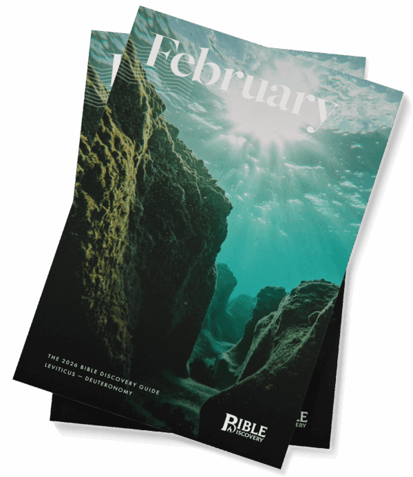 The Bible Discovery Guide