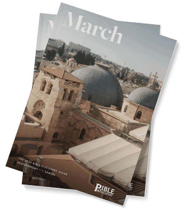 The Bible Discovery Guide