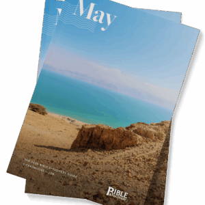 The Bible Discovery Guide