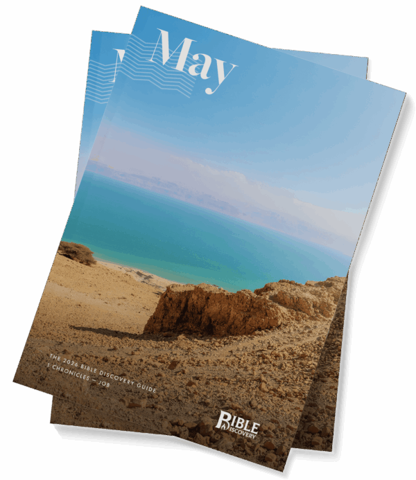 The Bible Discovery Guide