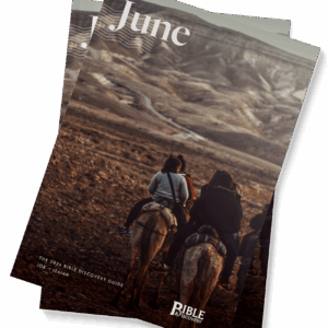 The Bible Discovery Guide