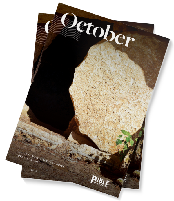 The Bible Discovery Guide